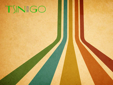 邯鄲市青果展柜有限公司