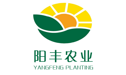 邯鄲陽豐綠色農(nóng)業(yè)邯鄲網(wǎng)站建設(shè)案例34611.cn